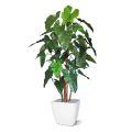 Árbol artificial Philodendron deluxe 170cm