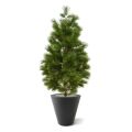 Árbol artificial Pinus deluxe XL 160cm - Resistente a los rayos UV