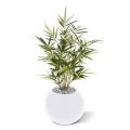 Royal Bamboo planta artificial 70cm - abigarrado
