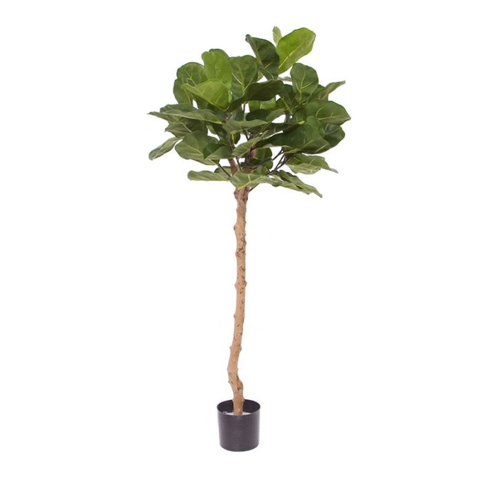 Árbol artificial Royal Lyrata sobre tronco 120cm main product photo