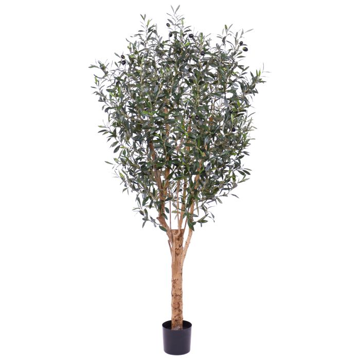 Olivo artificial Deluxe 180cm main product photo