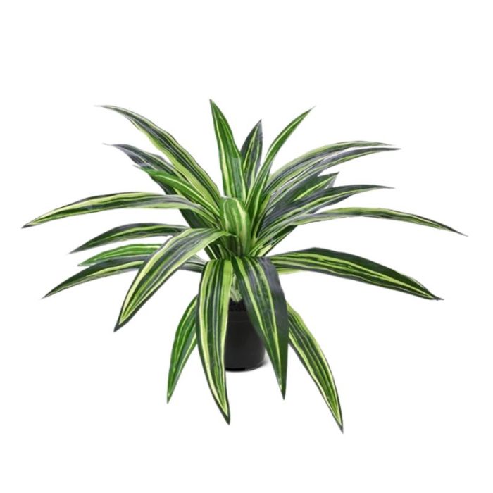 Planta artificial Draceana Massangeana 40 cm verde main product photo
