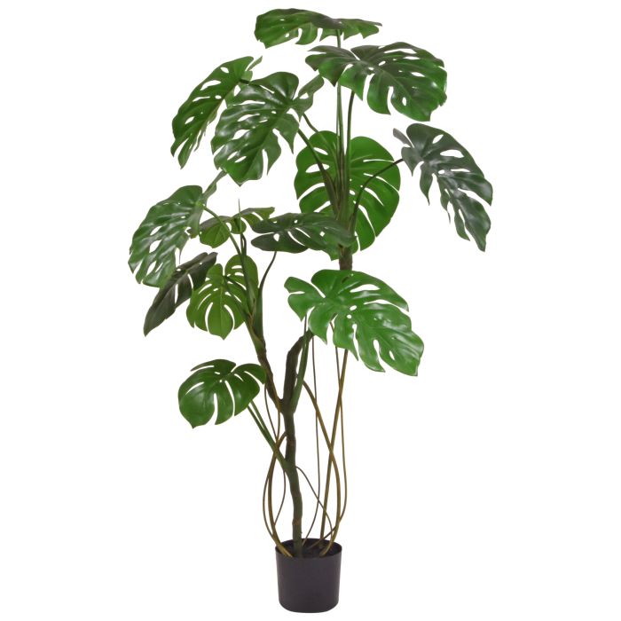 Árbol artificial Monstera 150cm RT main product photo