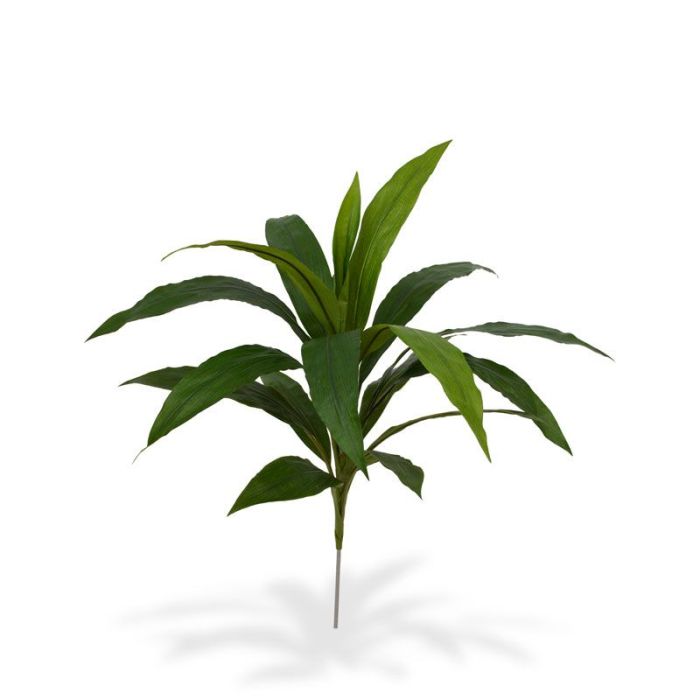 Ramo Draceana 60 cm verde main product photo