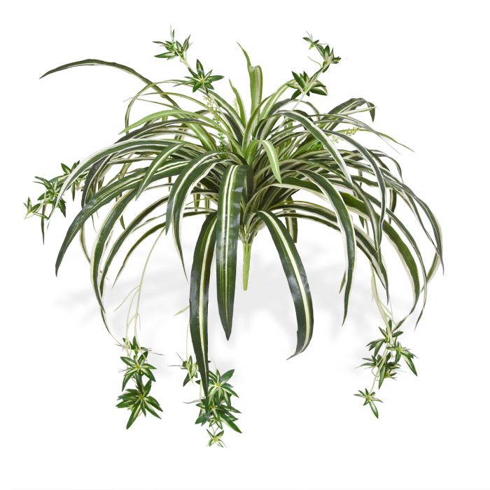 Planta artificial colgante Chlorophytum 50cm main product photo