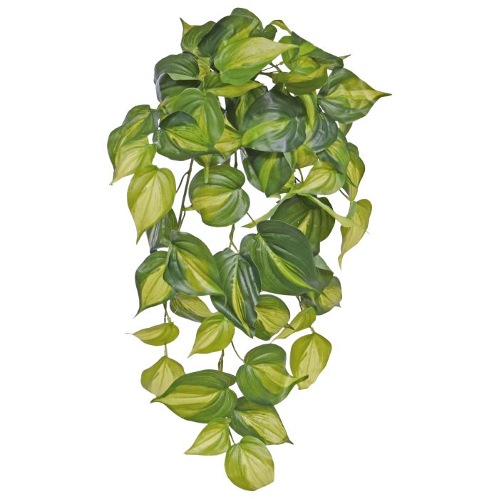 Planta artificial colgante Philodendron Scandens Brasil 50cm main product photo