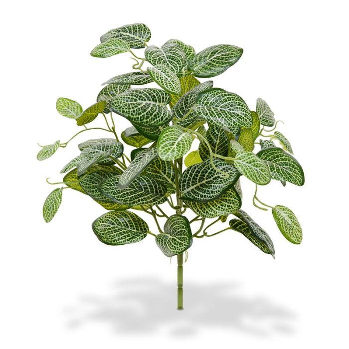 Planta Fittonia artificial 40 cm Varigada (arbusto) main product photo