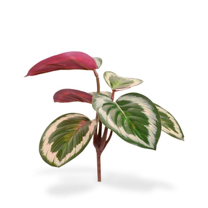 Ramo artificial Mini Calathea Ornata 20 cm main product photo