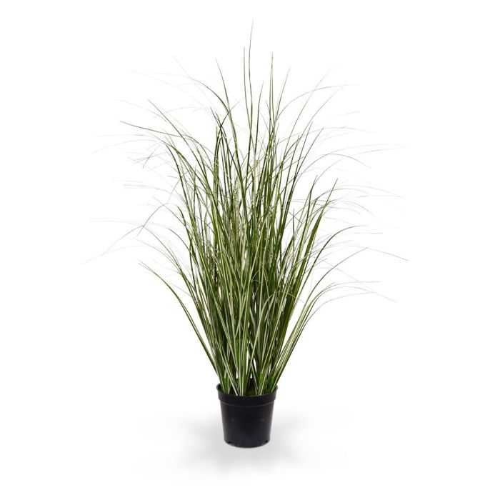 Planta de junco artificial 60cm - verde/crema main product photo