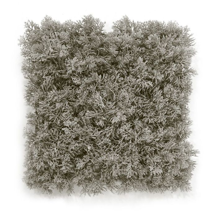 Reno artificial musgo estera 25x25 cm gris main product photo