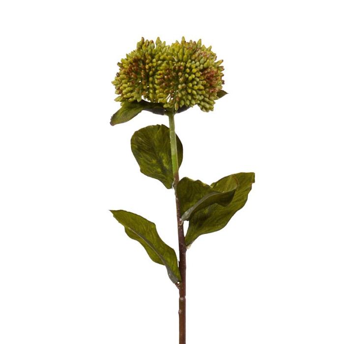 Sedum rama artificial 50 cm verde main product photo