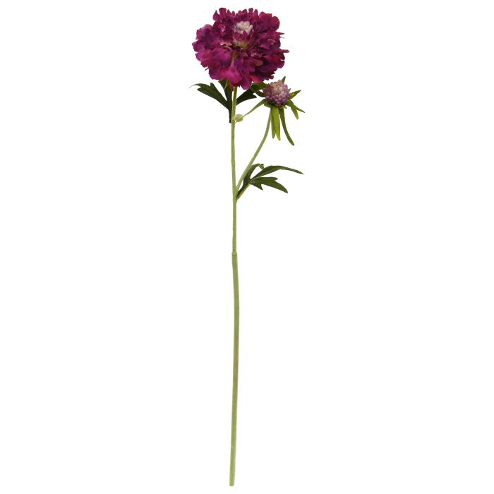 Escabiosa Flor artificial 57cm Borgoña main product photo