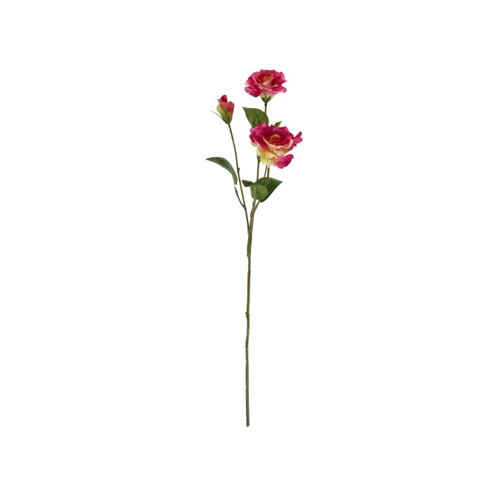 Rama de Lisianthus 61cm Púrpura main product photo