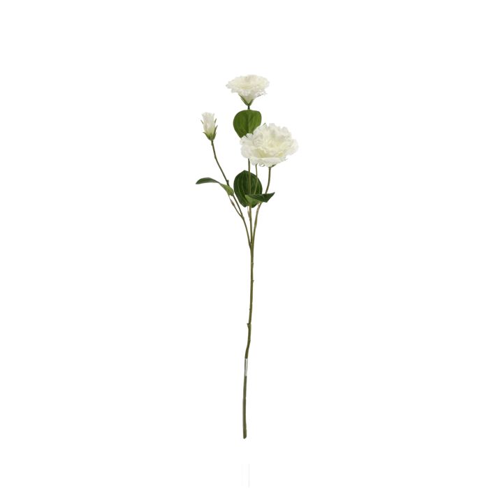 Rama de Lisianthus 61cm Blanca main product photo