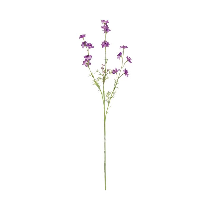 Rama de Delphinium 78cm Púrpura main product photo