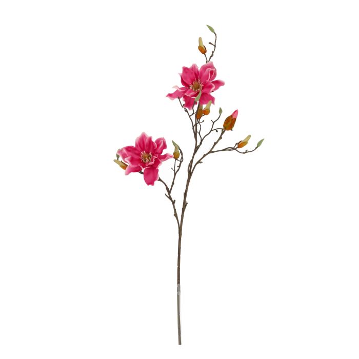 Rama de Magnolia 84cm Púrpura main product photo