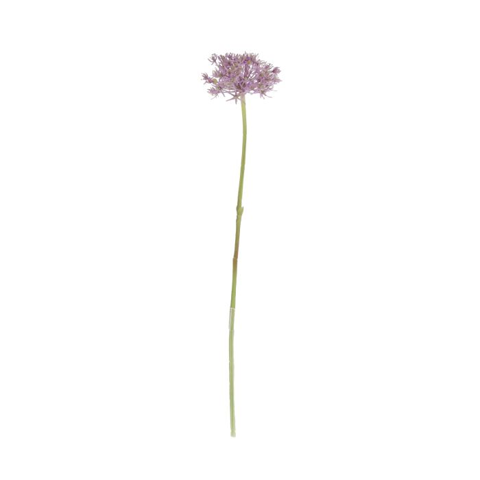 Rama de Allium 61cm Púrpura main product photo