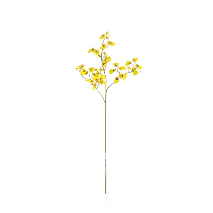 Rama de Oncidium 78cm Amarillo main product photo
