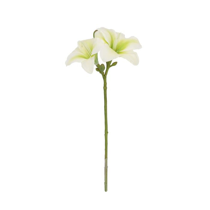 Rama de Amarilis 39cm Crema main product photo
