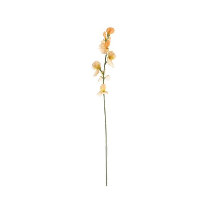 Rama de Lathyrus 64cm Durazno main product photo