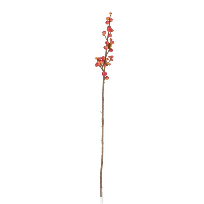 Rociador de Berries 88cm Rojo-Verde main product photo