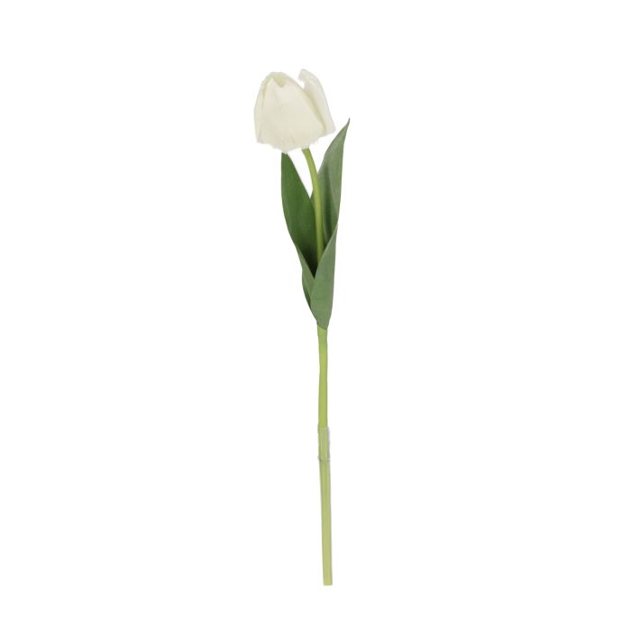 Rama de Tulipán 48cm Crema main product photo