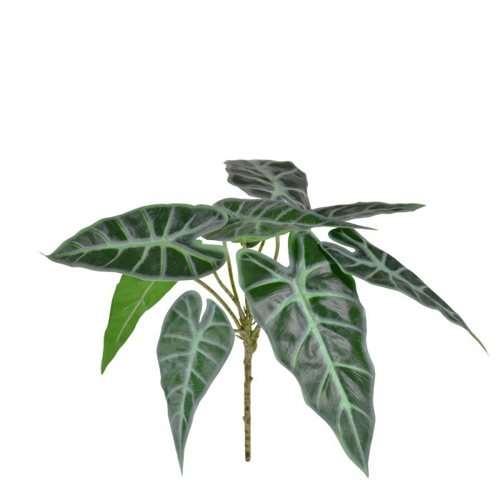 Alocasia Polly planta artificial 30cm main product photo