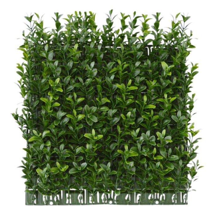 Estera artificial de boj x140 - Resistente a los rayos UV main product photo