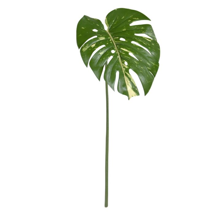 Monstera rama artificial 65cm varigada main product photo