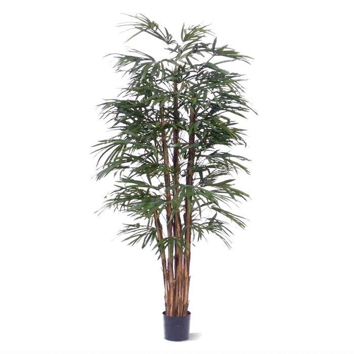 Raphis palma artificial 190cm main product photo