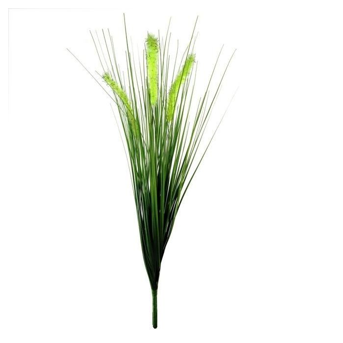 Pennisetum foxtailgrass ramo 50cm main product photo