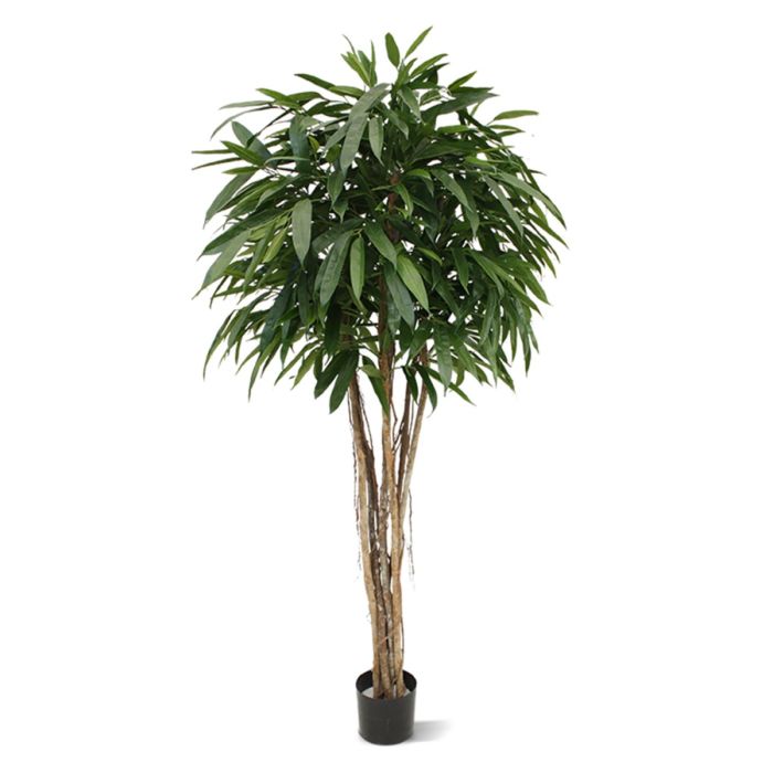 Árbol artificial Longifolia bola deluxe 180cm main product photo