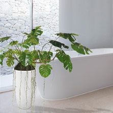 Plantas artificiales para el bano