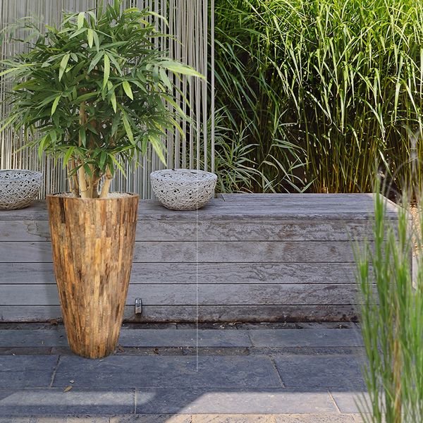 Bamboe garden
