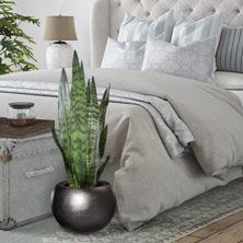 Plantas artificiales para el dormitorio