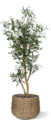 kunstbomen